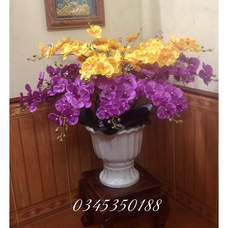 Hoa Lan giả / Lan Hồ Điệp 3 nhánh cao cấp 12 bông hoa dài 105 cm