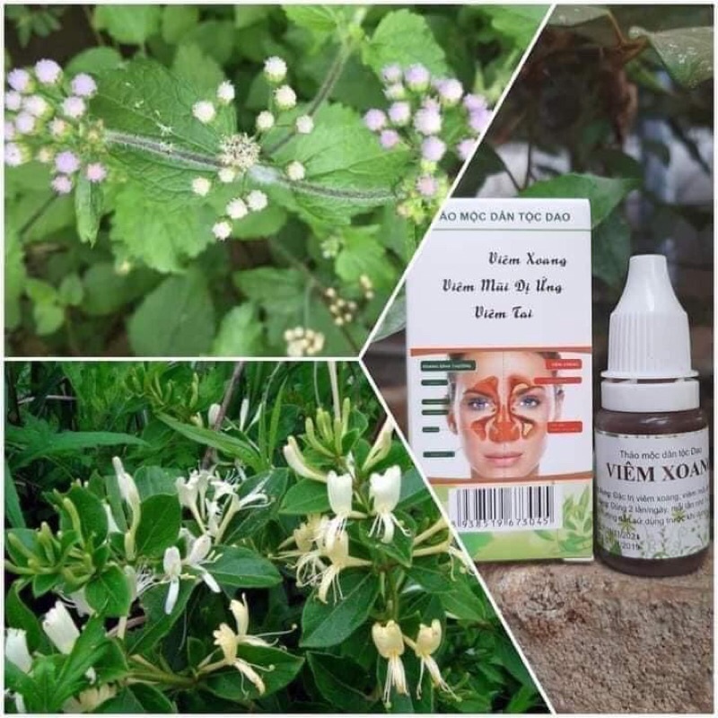 Viêm Xoang- Viêm Mũi Dị ứng - Viêm Tai giữa Trần Kim Huyền - 10ml - Hàng chính hãng