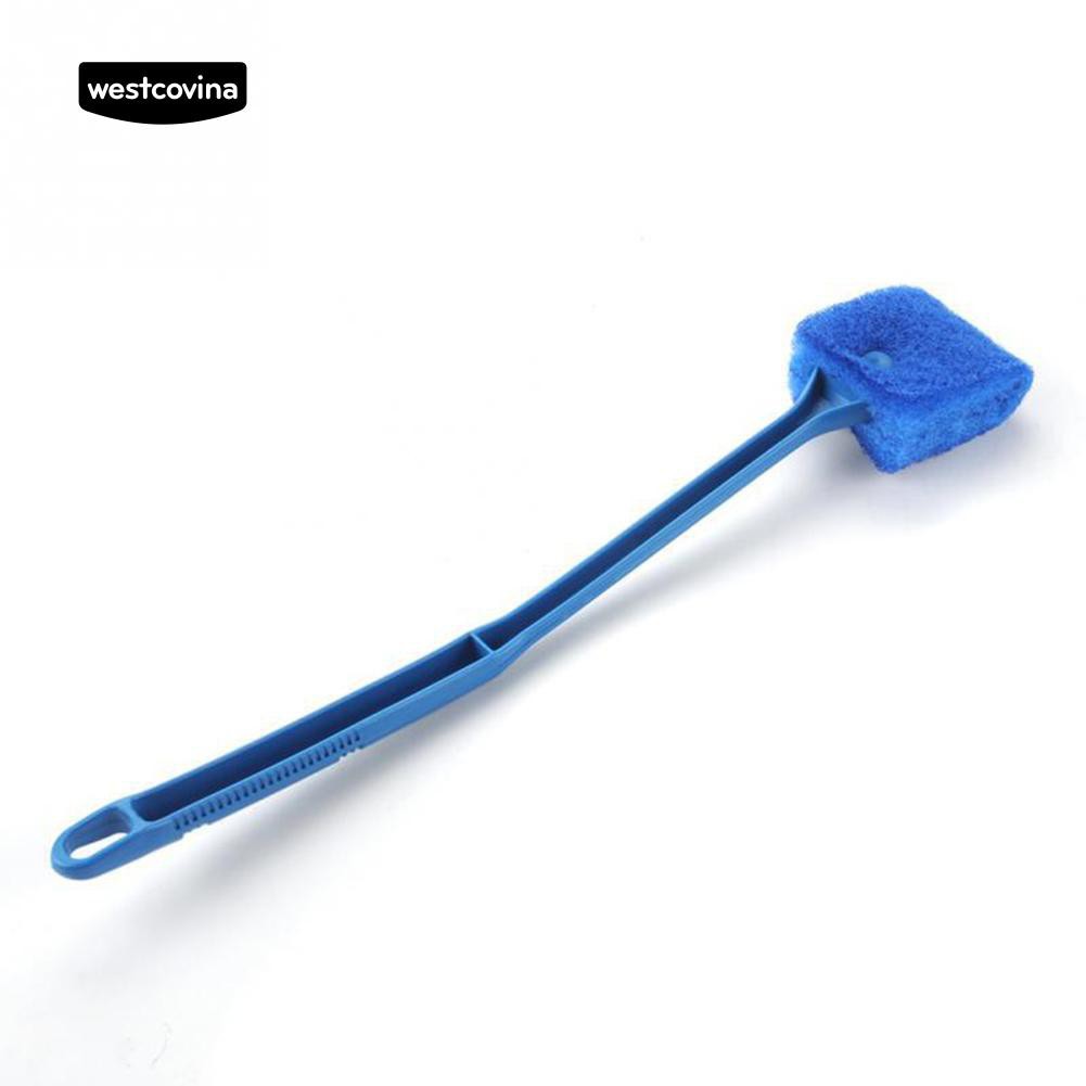 Cây vệ sinh kính hồ cá