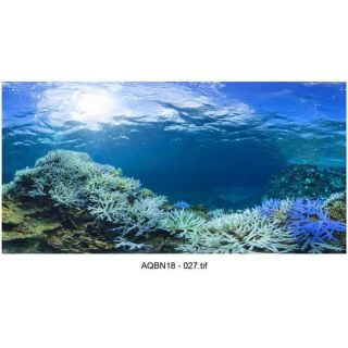 Tranh 3D bể cá ( kt 60x40;80x50;90x45;100x50;120x60; 150x50cm)