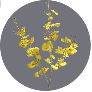 Cành lan Vũ nữ lụa cao cấp-cành cao 88cm