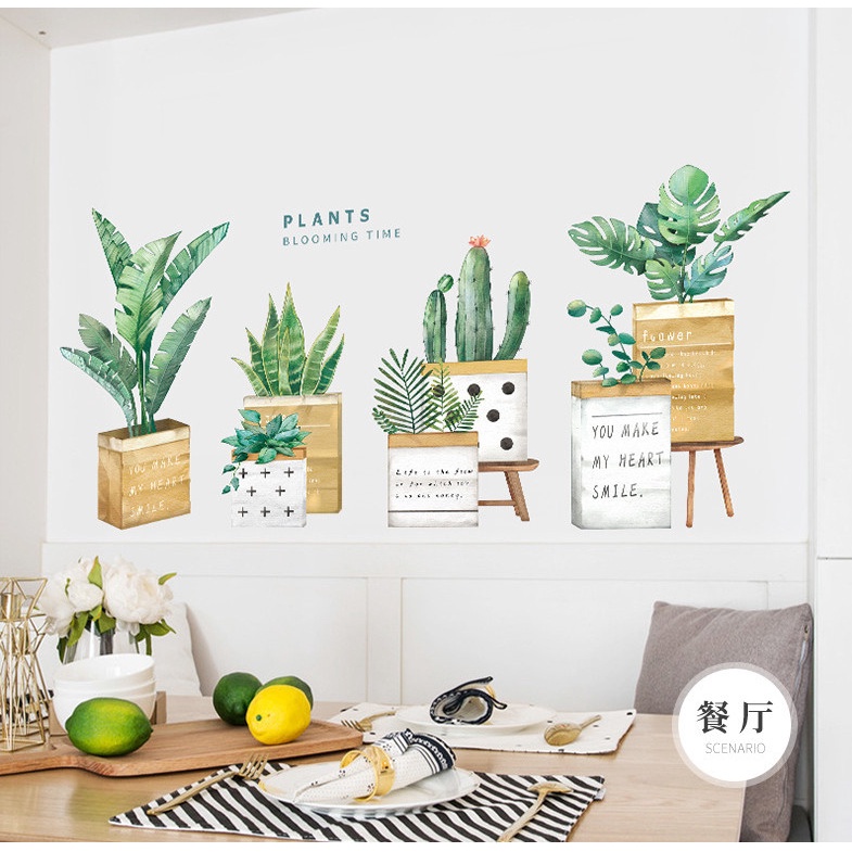 Decal trang trí tường - Nhiều chậu cây xanh trong chậu gỗ