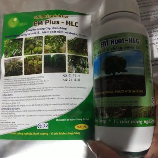 Bộ đôi phòng trị vàng lá thối rễ, phục hồi còi cọc,dưỡng cây