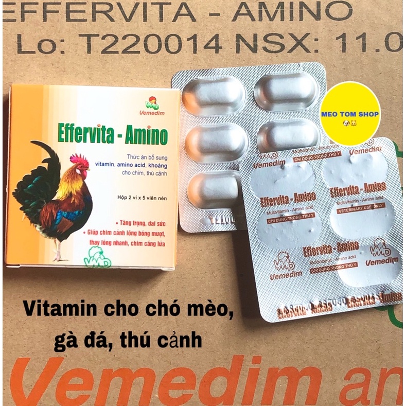 Effervita-Amino viên bổ sung vitamin cho chim căng lửa, gà và thú cảnh khoẻ mạnh