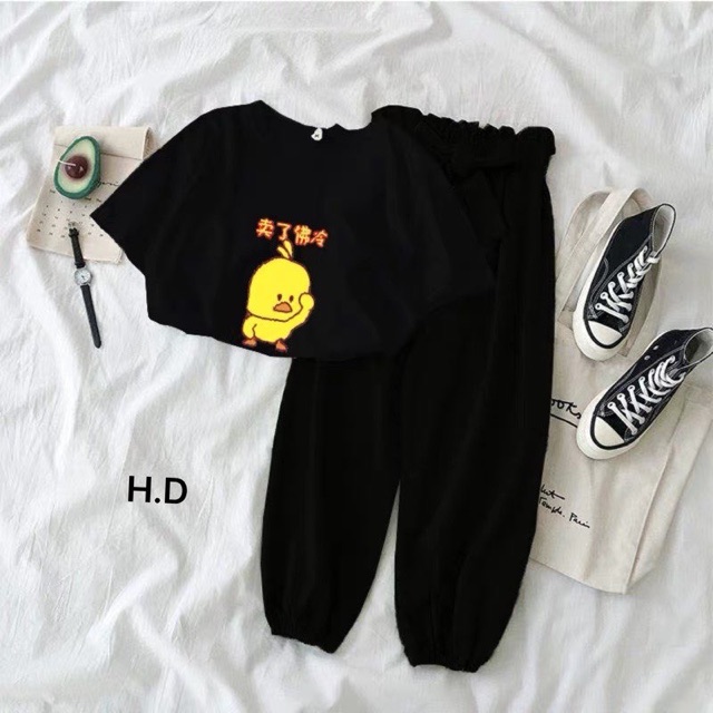 Sét áo gà con tici + quần chun gấu HDN875