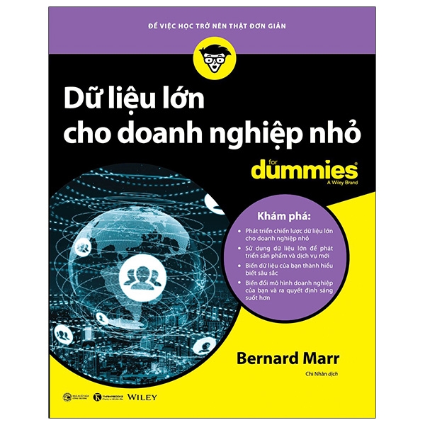 Sách Dữ Liệu Lớn Cho Doanh Nghiệp Nhỏ For Dummies