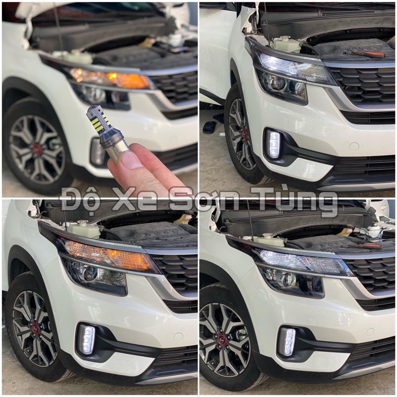 Bóng daylight seltos