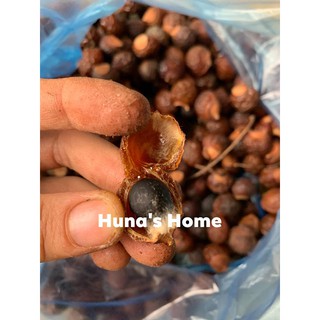 Enzym bồ hòn quế can 5l SIÊU ĐẬM ĐẶC