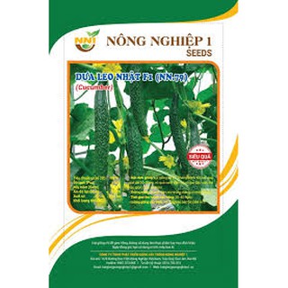  HẠT GIỐNG DƯA LEO NHẬT- DƯA KIẾM F1
