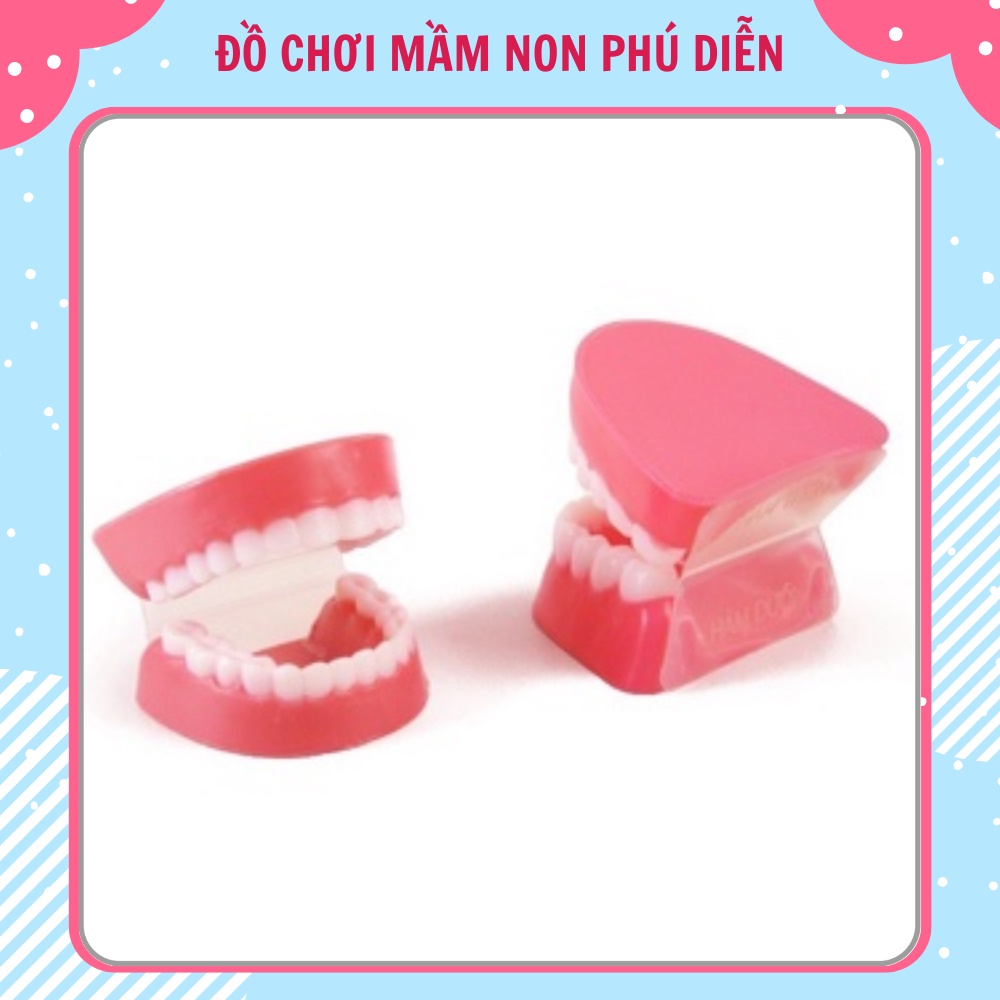 Đồ Chơi Mô Hình Hàm Răng Cho Bé Loại Nhỏ Và Cho Cô Loại Lớn Bằng Nhựa Dạy Bé Vệ Sinh Răng Miệng
