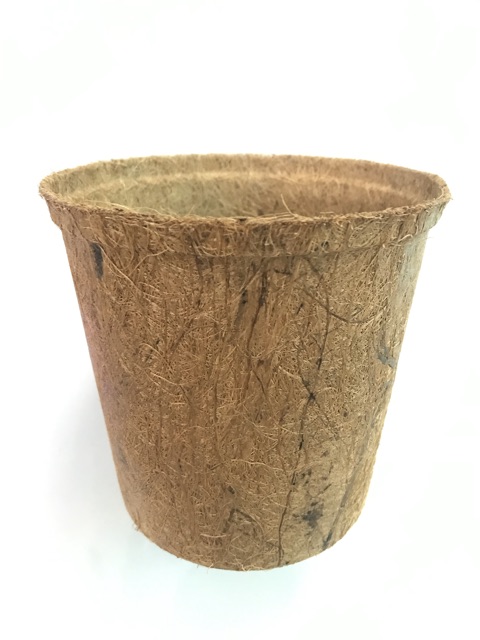 Combo 500 chậu xơ dừa tròn trung AN1002 - Coir pots