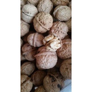 Oc cho tây bắc 1 kg