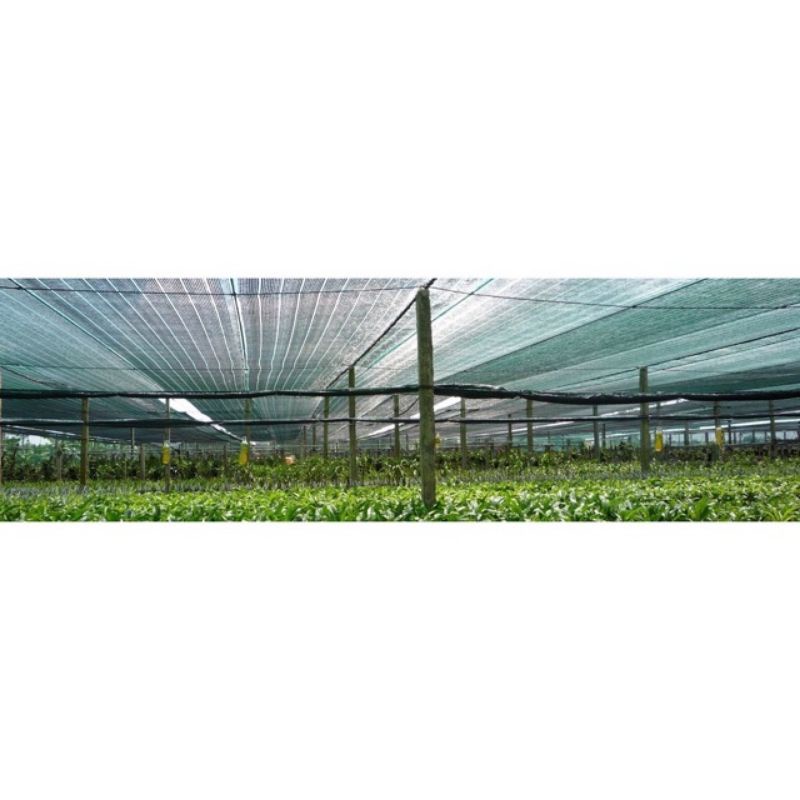 LƯỚI LAN THÁI LAN DÀY 70%
