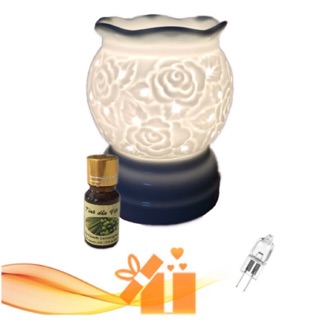 Combo đèn size to + tặng 1 lọ tinh dầu