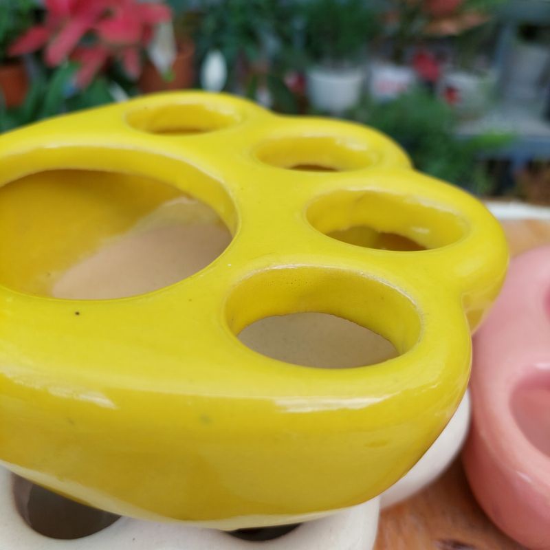 Chậu men, Chậu sen đá Bình Dương - Chân chó, lỗ bàn chân 6-7cm, lỗ móng chân 3-4cm, chiều cao 5cm