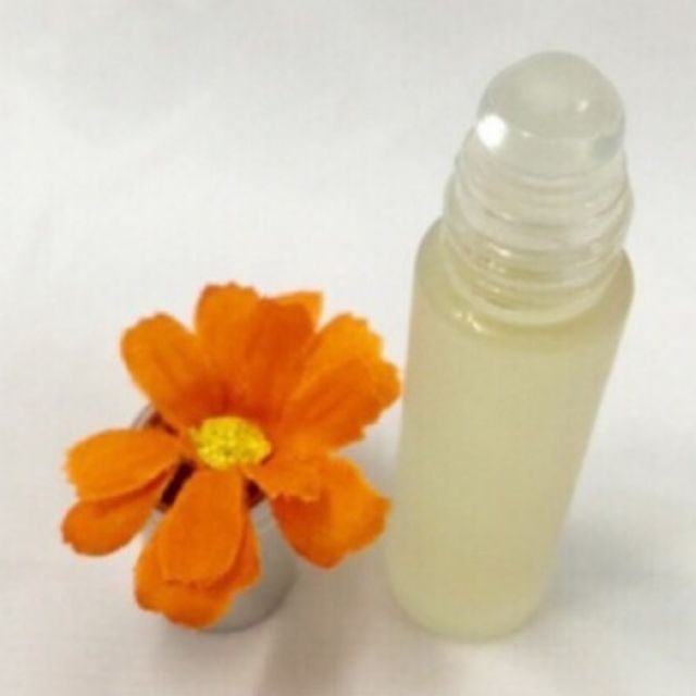 SỈ 100 Dầu Dừa Bi lăn môi nguyên chất