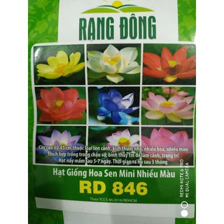 Hạt giống Hoa Sen mini Nhật nhiều màu 5 hạt ❤️FREESHIP EXTRA❤️