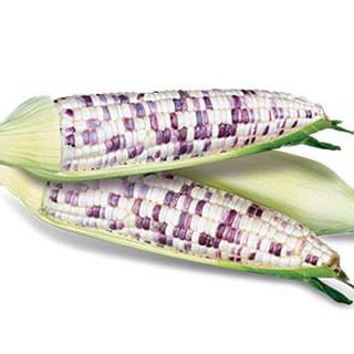 Phân UREA - Phân đạm U RÊ 1kg140