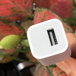Củ sạc iPhone hãng Foxconn - Mới 100%