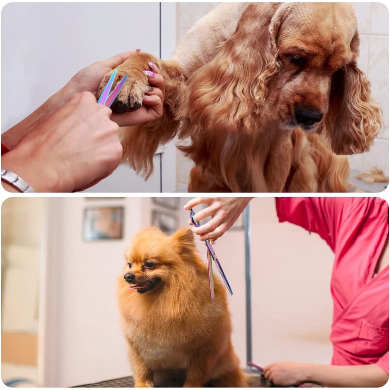 6.7 inch Kéo cắt tóc màu cho thú cưng,Bộ tông đơ cắt lông thú cưng bằng thép không gỉ nhập khẩu từ Nhật Bản.