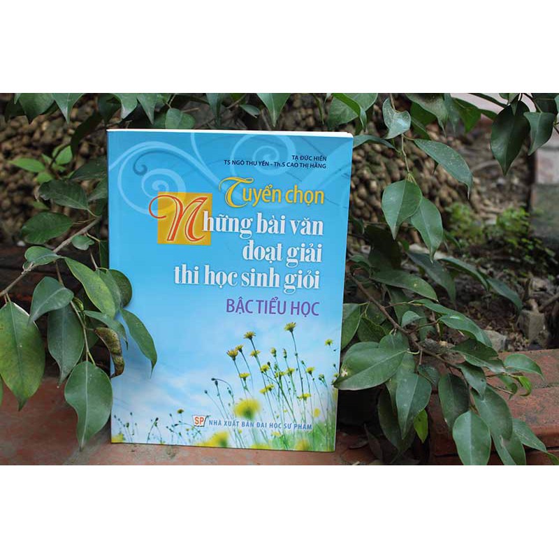 Sách: Tuyển Chọn Những Bài Văn Đoạt Giải Thi Học Sinh Giỏi Bậc Tiểu Học