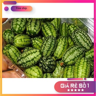 HẠT GIỐNG DƯA HẤU MINI - 10 hạt LUCKY.VN