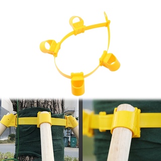 1 bộ khung hỗ trợ trồng cây lớn chống gió cố định