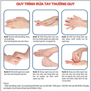 SỮA RỬA TAY FRUISER (date 8/2022)