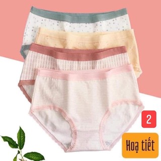 Set quần chip kháng khuẩn