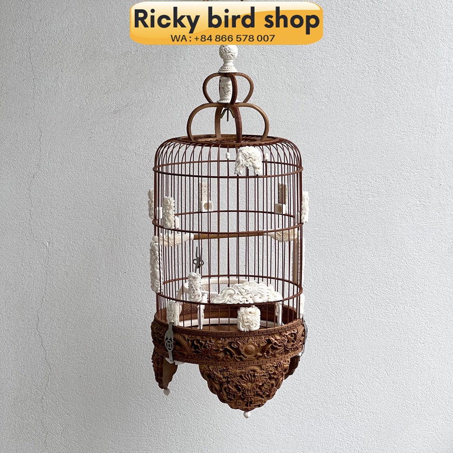 Lồng khuyên chạm rồng 3D độ xương siêu VIP