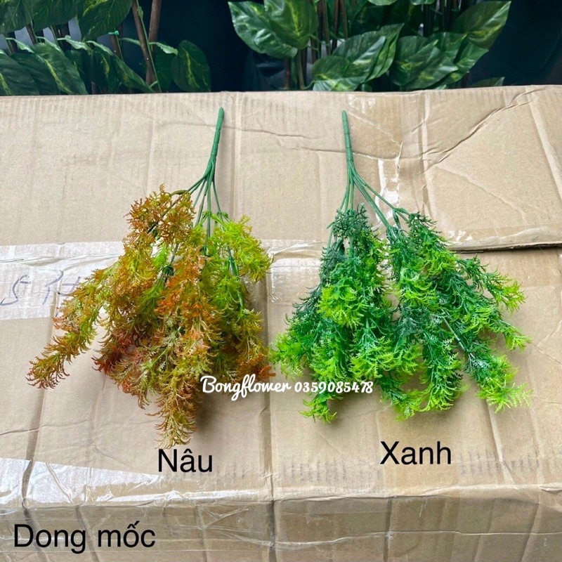 Cụm dong mốc trang trí cắm điểm siêu xinh - cỏ giả