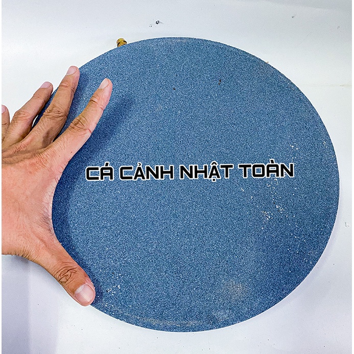 SỦI DĨA NANO SIÊU MỊN CHO BỂ CÁ CẢNH ĐƯỜNG KÍNH 30CM