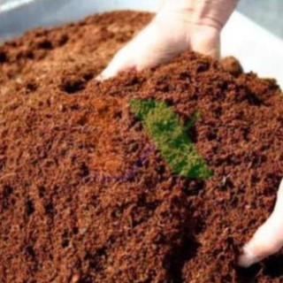 Mùn Xơ dừa xử lý (1kg)