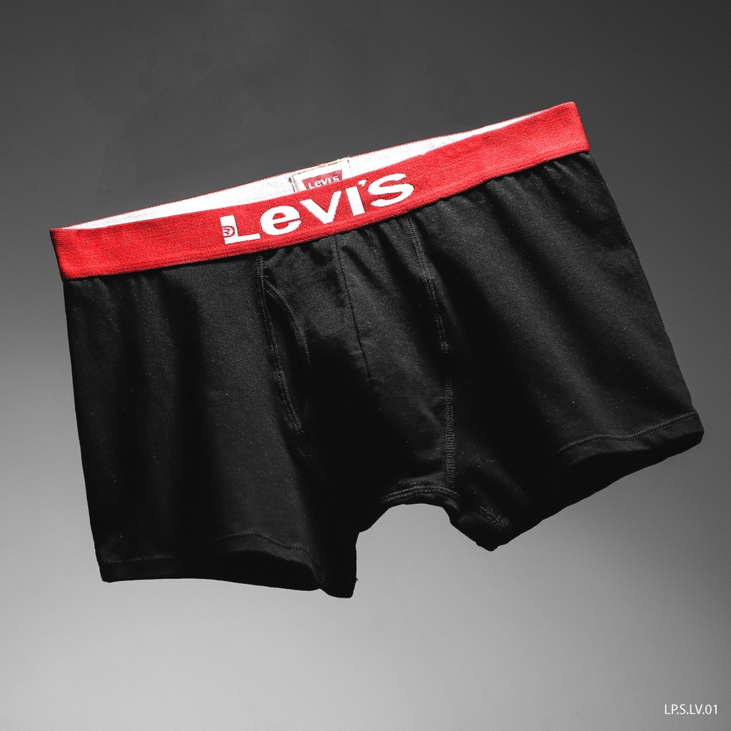 Combo 2 Quần lót nam boxer vải cotton1000% tự nhiên thoáng khí có hộp đựng cao cấp,co giãn DICYDE LV
