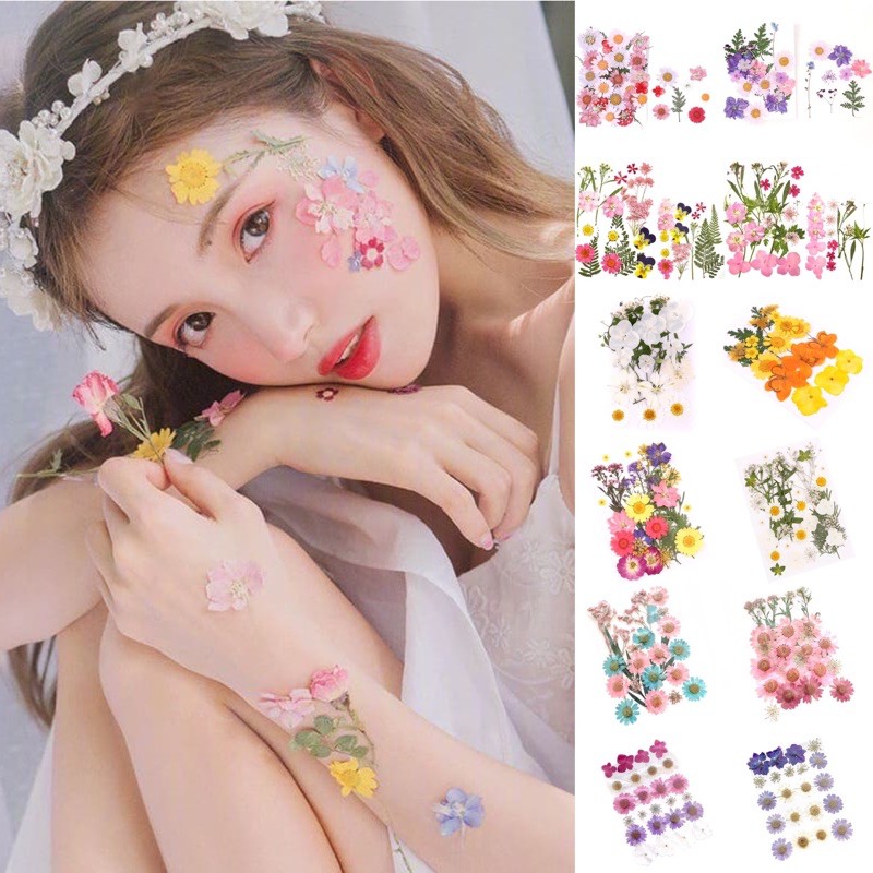 Hoa khô ép chuyên cho mặt và body