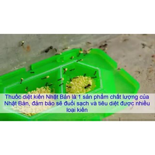 Thuốc diệt kiến Super Arinosu Koroki
