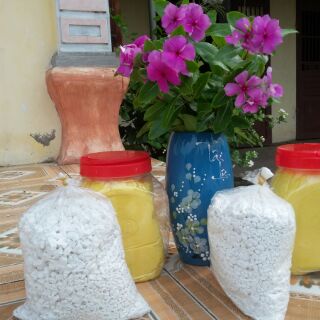 Tinh  bột  nghệ  nhà  làm 0,5kg