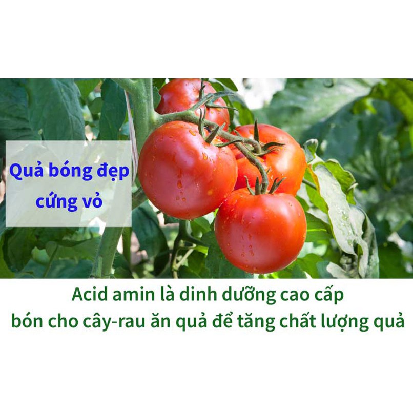 Chế phẩm acid amin Smin cây và rau ăn quả 100ml - Tặng cốc đo