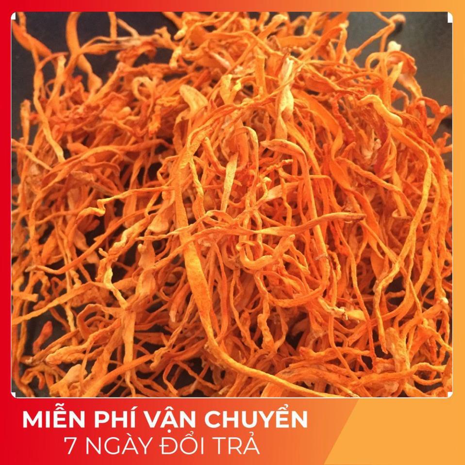 Đông trùng hạ thảo khô loại một 100g