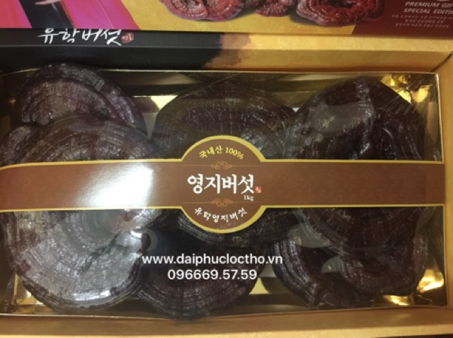 Nấm linh chi đỏ Hàn Quốc hàng đẹp