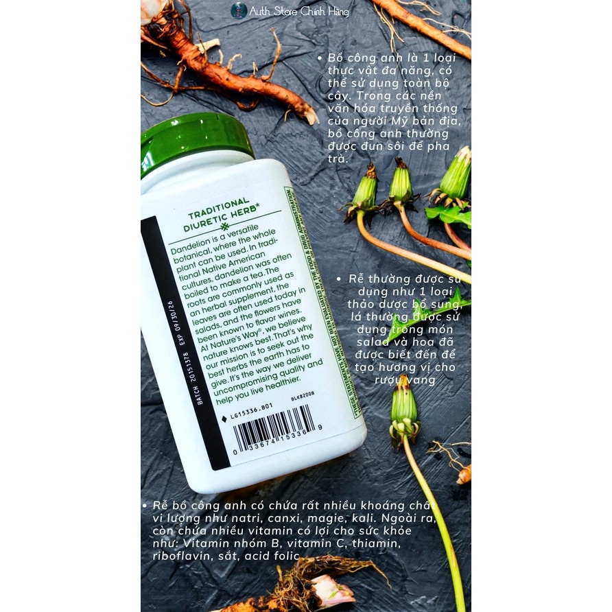 Rễ bồ công anh Dandelion Root Nature’s Way