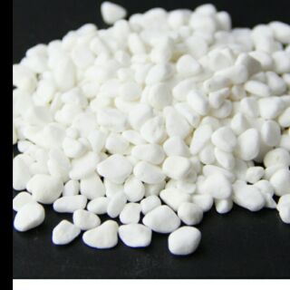 2kg sỏi trắng trang trí chậu cây giá tốt