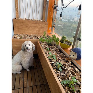 Đất trồng Rau và Hoa Namix