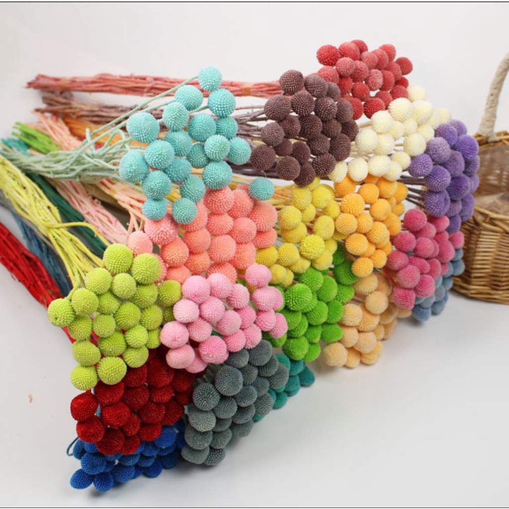 HOA CÚC NÚT ÁO  - hoa cúc - decor- bình hoa- hoa khô trang trí cafe, trà chanh, trà sữa, quán ăn-