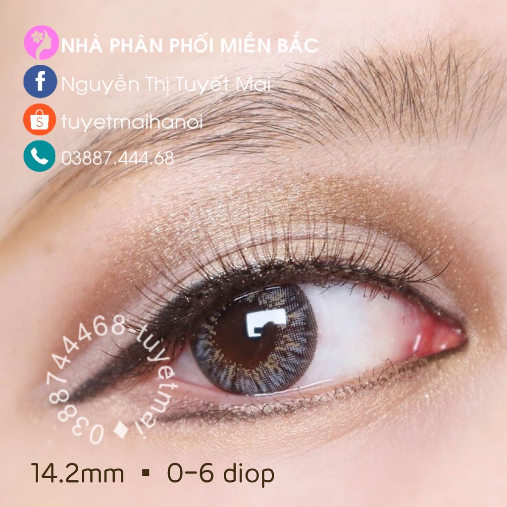 Kính Áp Tròng Màu Xám Nổi Bật Siêu Êm Siêu Mềm Sophie Gray 14mm 0 Độ - Lens Hàn Quốc Chính Hãng Vassen Sexy Me