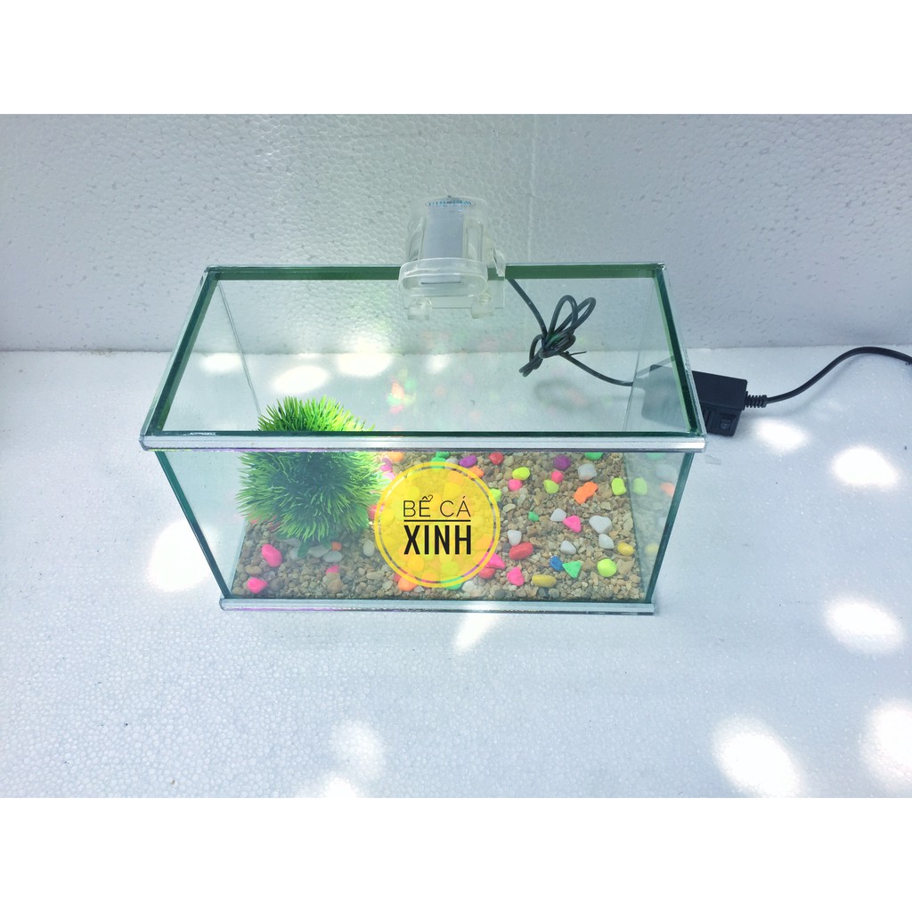 🐟 Bể cá viền gương 25 và đèn led trang trí hồ cá ( tặng phụ kiện )