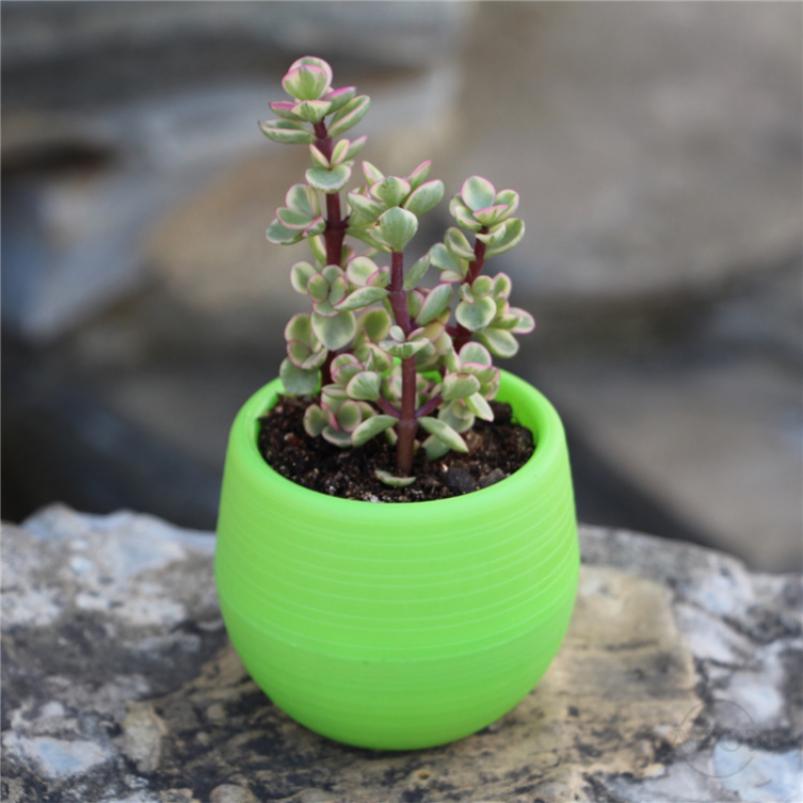 AFON Chậu mini cây chất liệu nhựa