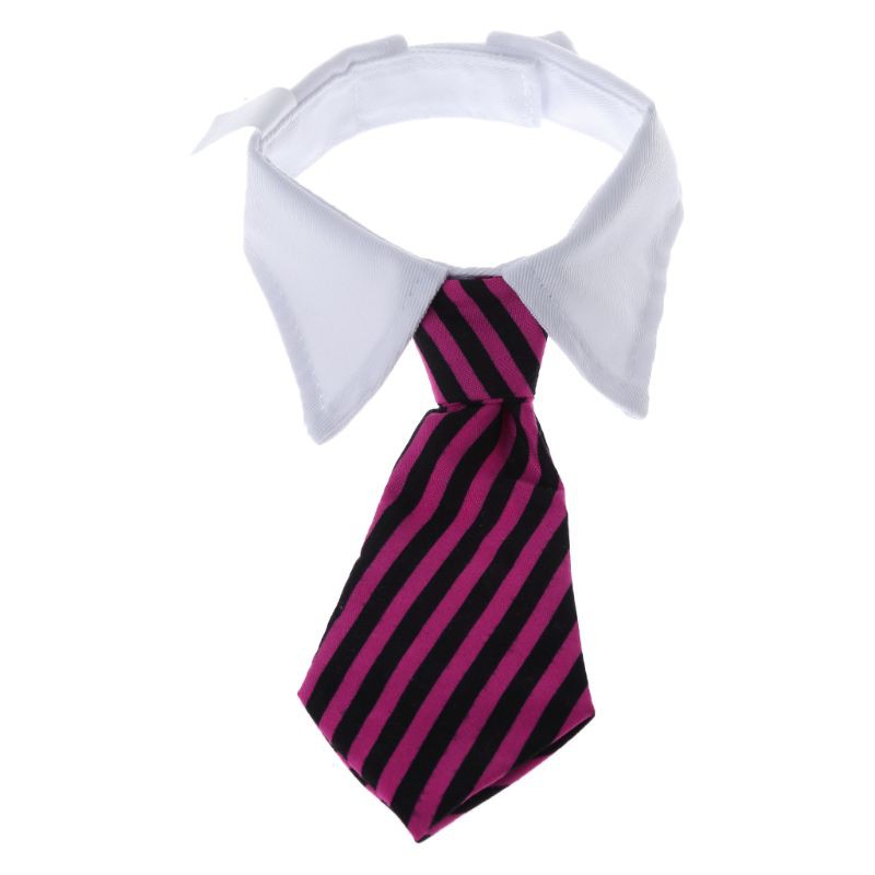 Cà vạt phụ kiện chụp ảnh cho bé