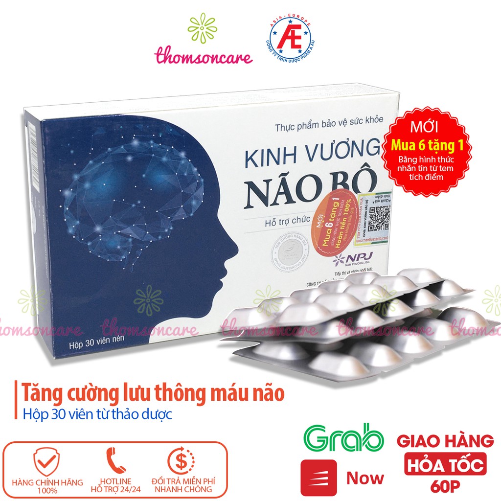 Kinh vương não bộ - Hoạt huyết dưỡng não, tuần hoàn não từ cao đinh lăng, Nattokinase