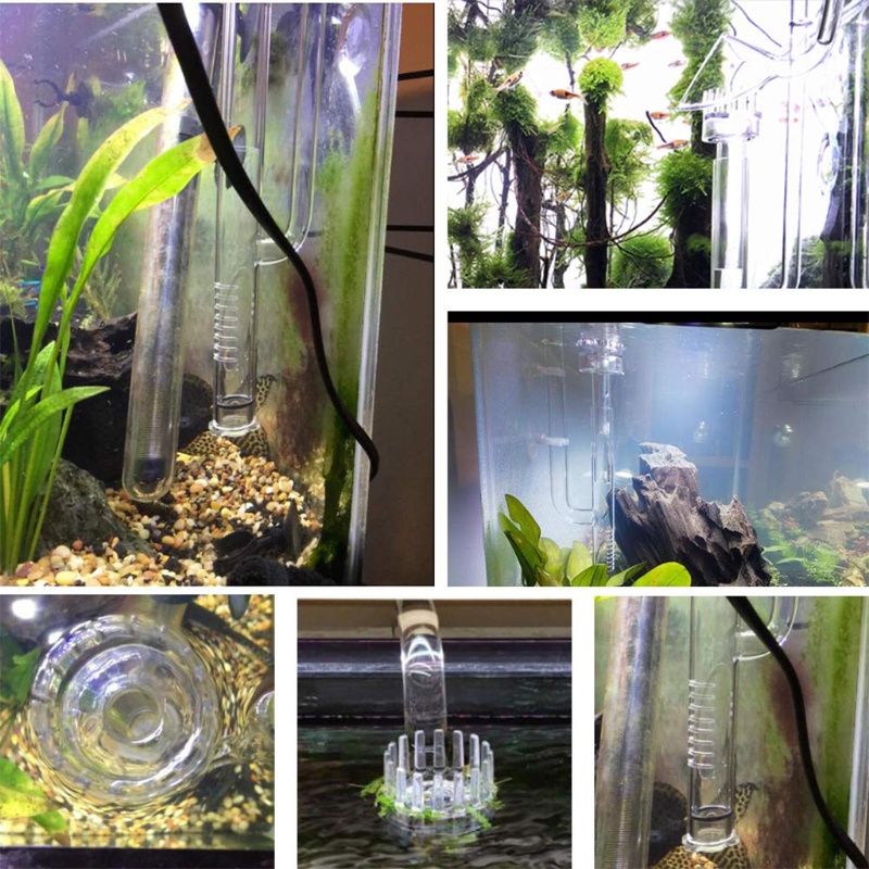 Bộ Ống Lọc Nước Bể Cá Bằng Thủy Tinh Trong Suốt